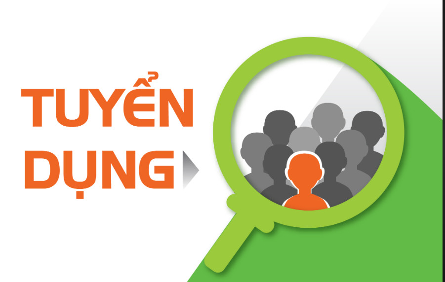 DTSVN Recruitment: Delivery Director    